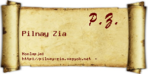 Pilnay Zia névjegykártya